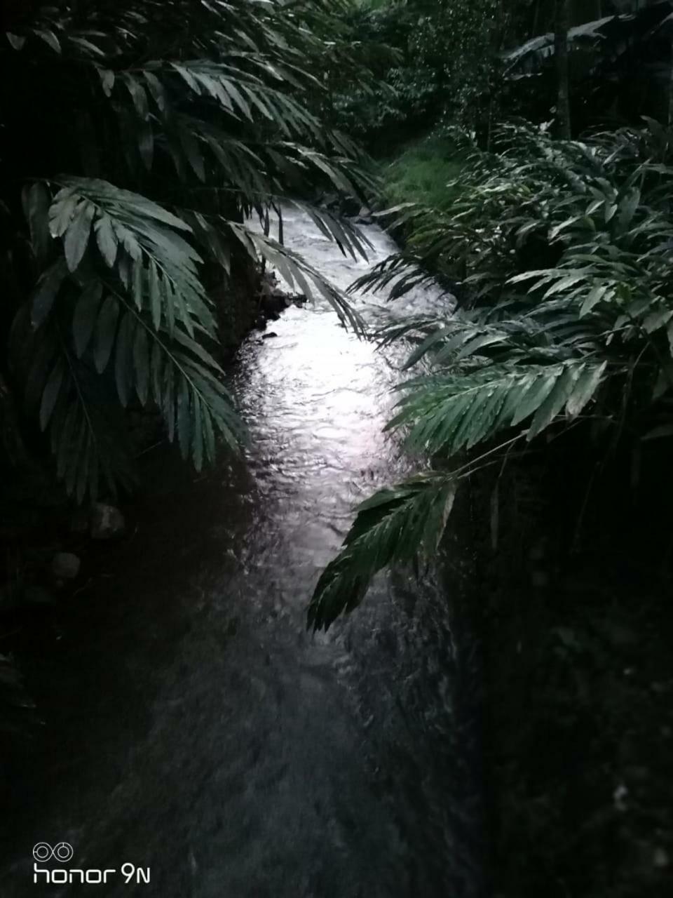Alencherry Plantation Homestay Thekkady Bagian luar foto